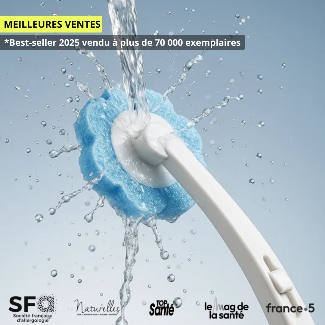 Brosse Toilette Murale